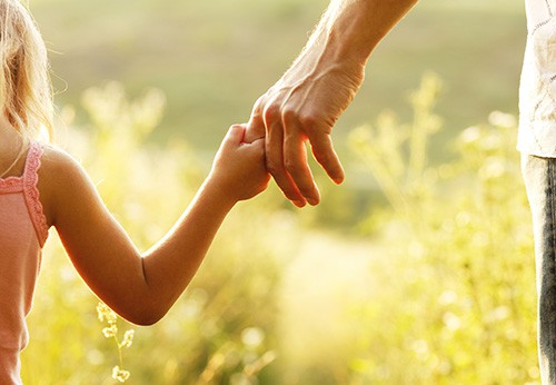 Enforcing Parenting Plan law 2